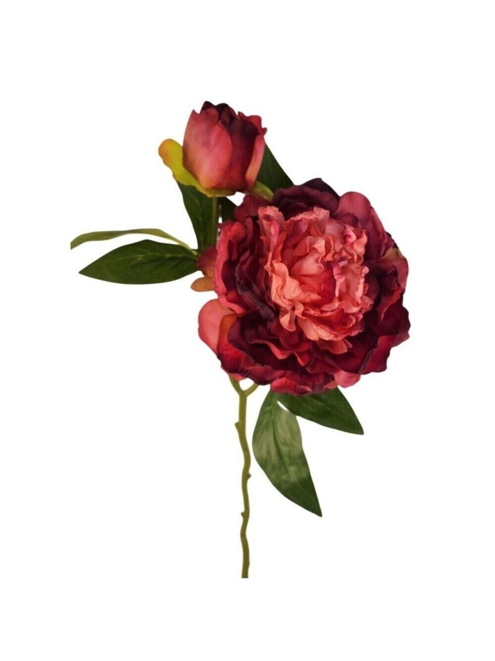 Rose Pink Faux Peony Stem 18 Inch Wedding Artificial Silk Flower Burgundy Tips